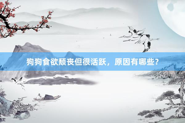 狗狗食欲颓丧但很活跃，原因有哪些？
