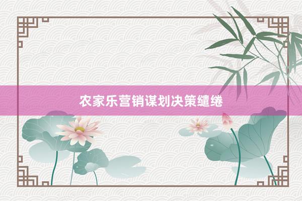 农家乐营销谋划决策缱绻